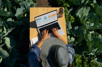 Apple Mac Gross sales Surge 15% In Q3 2025, Surpassing PCs